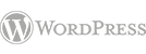 web agency napoli estensa sviluppo siti wordpress